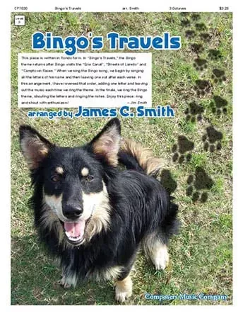 Bingos Travels