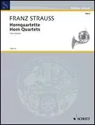 Horn Quartets