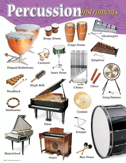 Percussion Instruments Learning Chart
