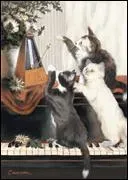 Purrfect Timing 10-Pack Note Cards