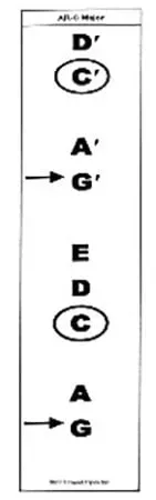 Recorder Stack Charts