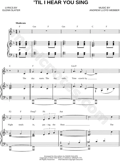 'Til I Hear You Sing