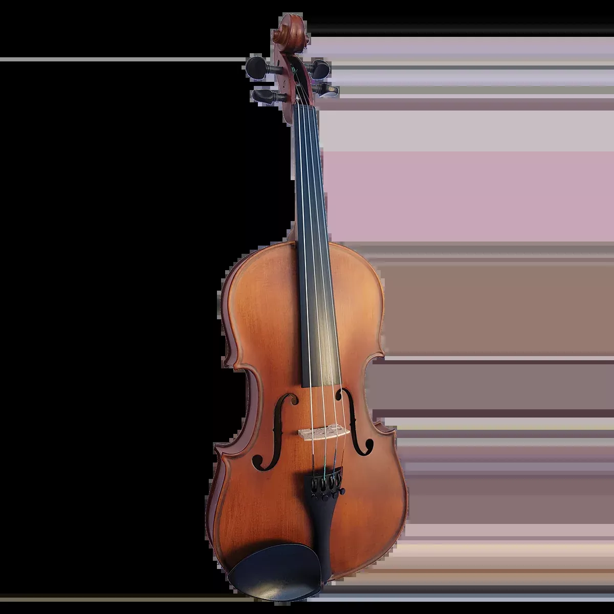 Vivo Student 13" Viola Outfit